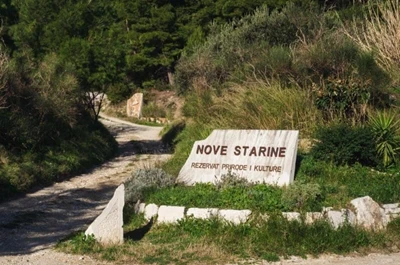 Čišćenje šumskog kompleksa na lokaciji Nove starine