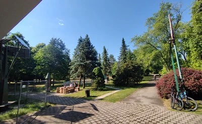Zeleni arboretum